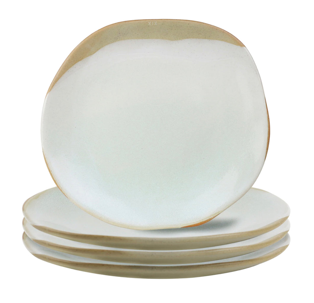 DINNER PLATE SET OF 4 - LAGOON FORAGER